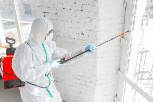 Biohazard Mold Removal in Oak Lawn, IL