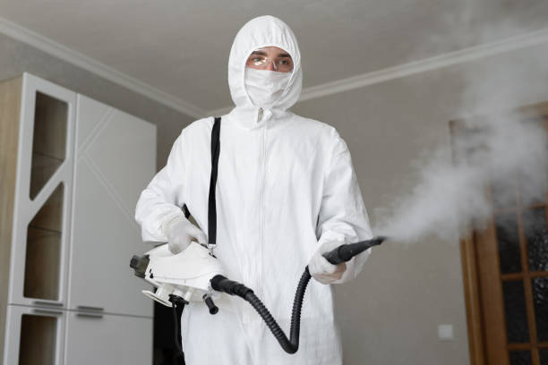 Mold Odor Removal Services in Oak Lawn, IL